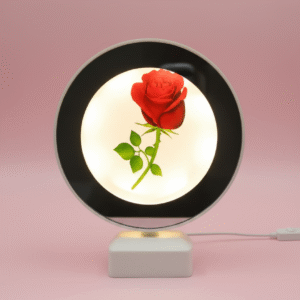 LED Magic Mirror Photo Lamp
